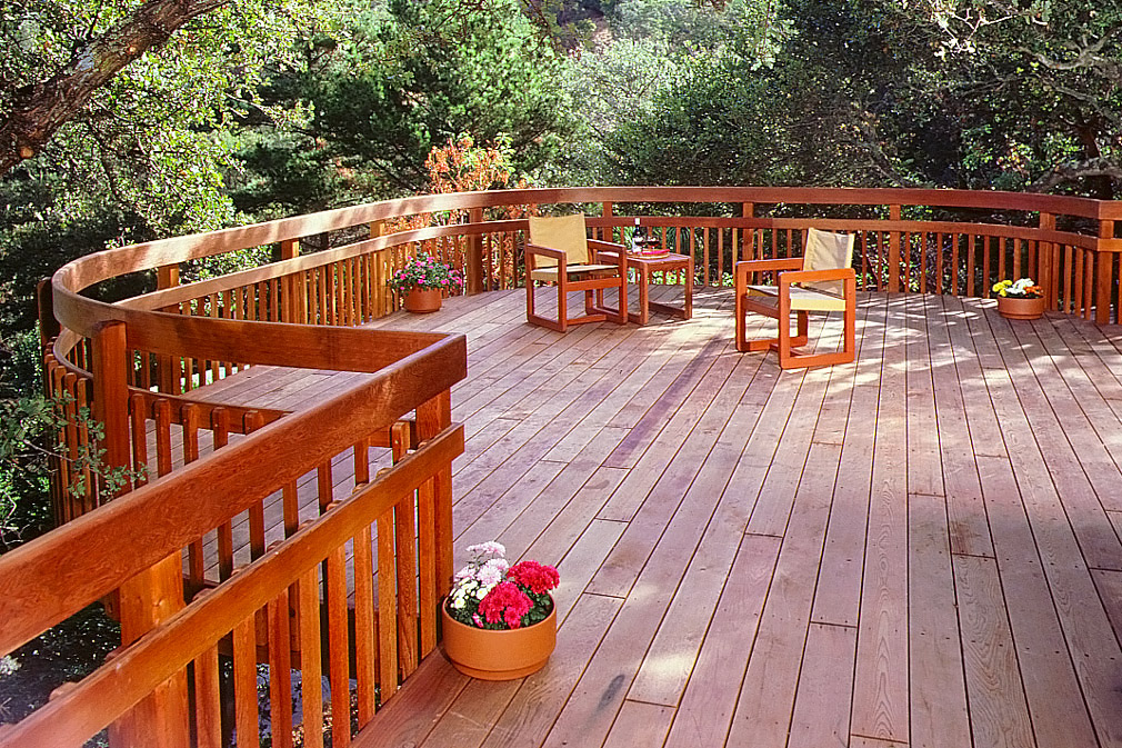 Redwood deck in forest.