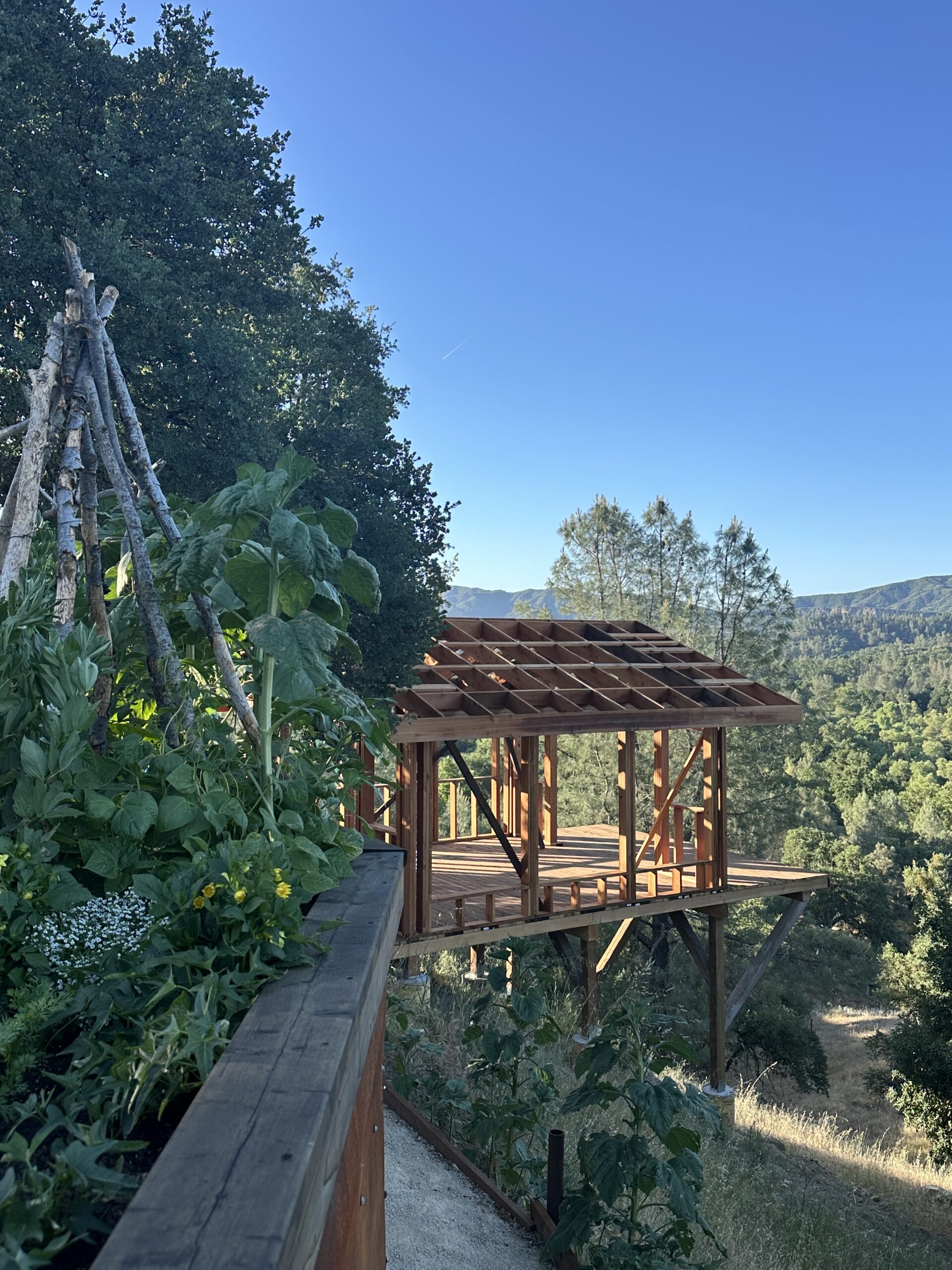 framed structure with a view and garden around it