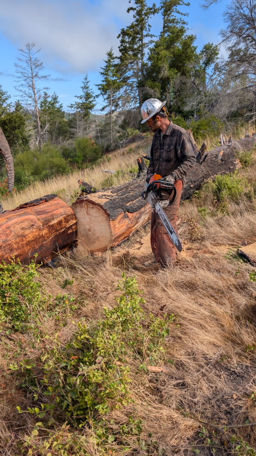 Man in hardhat with chainsaw and log