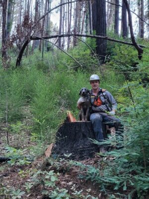 Man with a hardhat sitting on a tree stump with his dog