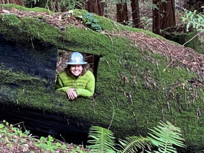 Woman with Hardhat looking through whole in a large tree with moss on it