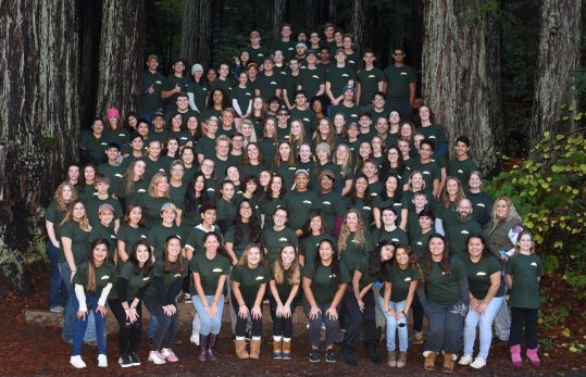 Large group of young adults in a forest.