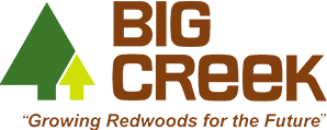 big creek logo